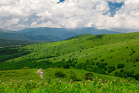 (Junko Takahashi/amana images/Getty Images)