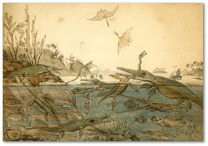 Duria antiquior, by geologist Henry de la Beche, based on fossils found by Mary Anning.