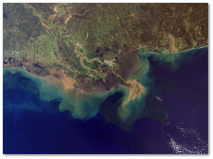 Sediment plumes from the Mississippi and Atchafalaya rivers.  NASA