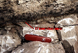 The PGE iridium is found in the KT boundary that marks the mass extinction event that killed off many dinosaurs.  Source