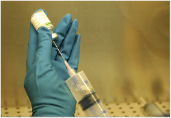 morguefile.com/clarita