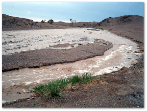 A 2004 flash flood in the Gobi Desert. Source