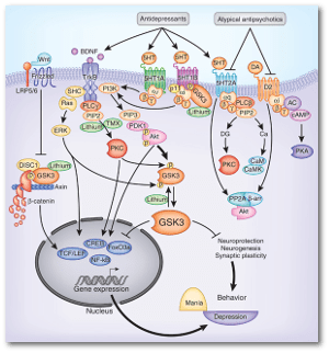 Because of this, apparently.