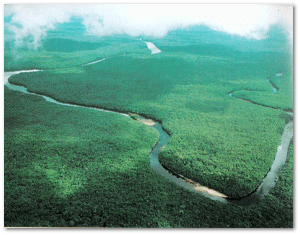 Two centuries later, the Orinoco isn't exactly heavily urbanized.  Source