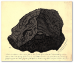 Meteorite, by Etheldred Benett.  Source