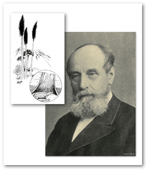 J. William Dawson and the plants and animals of the Carboniferous age.