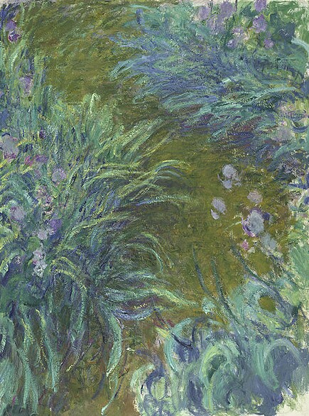 Monet Irises