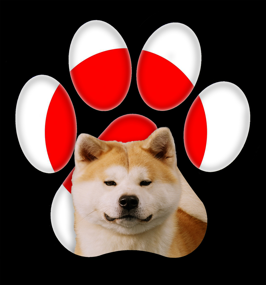 Guest Videos: The Nihon Ken, Japan's Six Native Dog Breeds