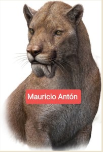 <i><small><p align="center">Here it is again.  (Image:  Mauricio Antón, Figure 3.26 in "Sabertooth," CC BY-NC-ND-SA 4.0)</i></small></p>